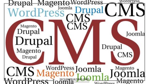 WordPress CMS